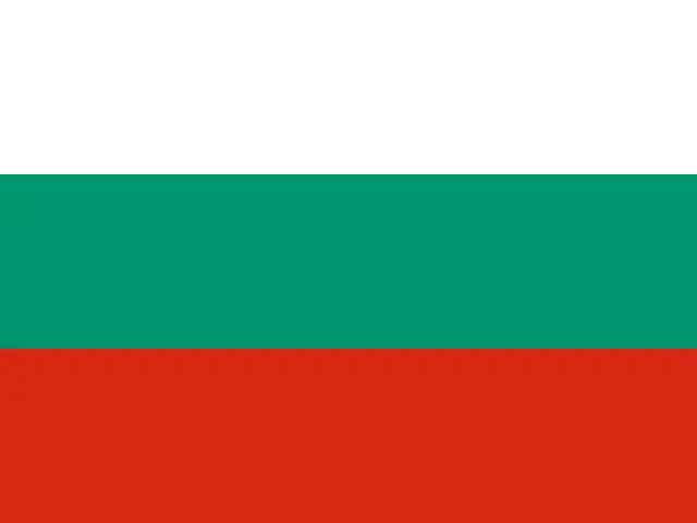 Sofia flag