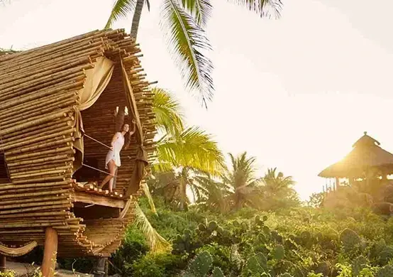 bamboo bungalow overlooking forest