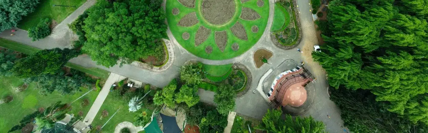 Banner image for Brisbane representative of the city