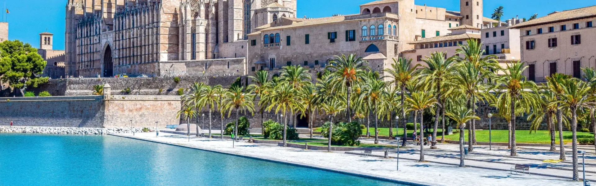Banner image for Mallorca representative of the city