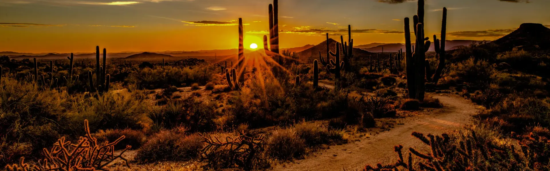 Banner image for Scottsdale representative of the city
