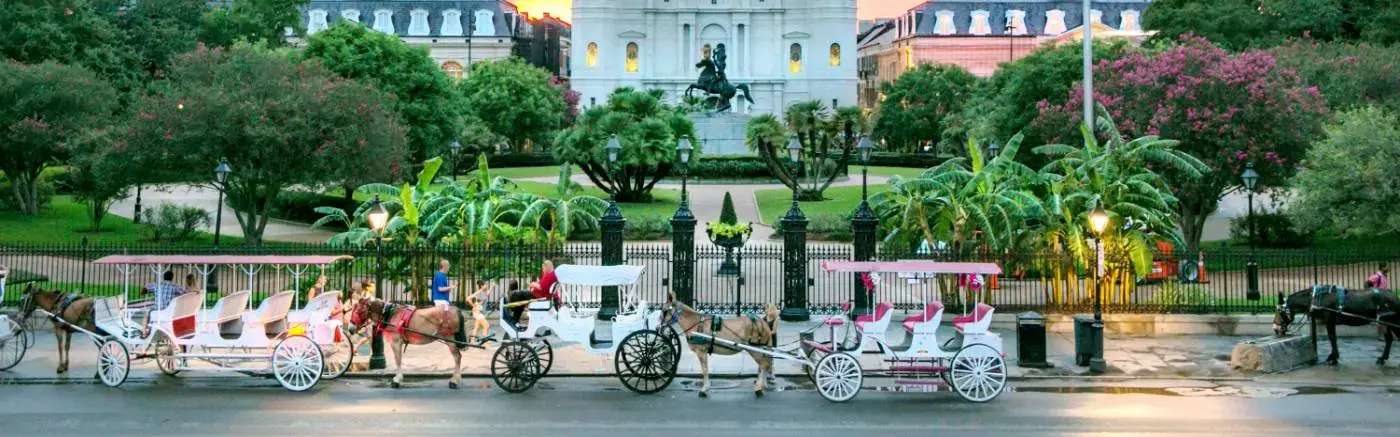 Banner image for New Orleans representative of the city