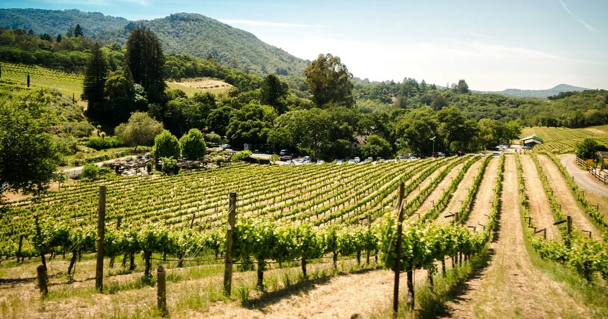 Sonoma