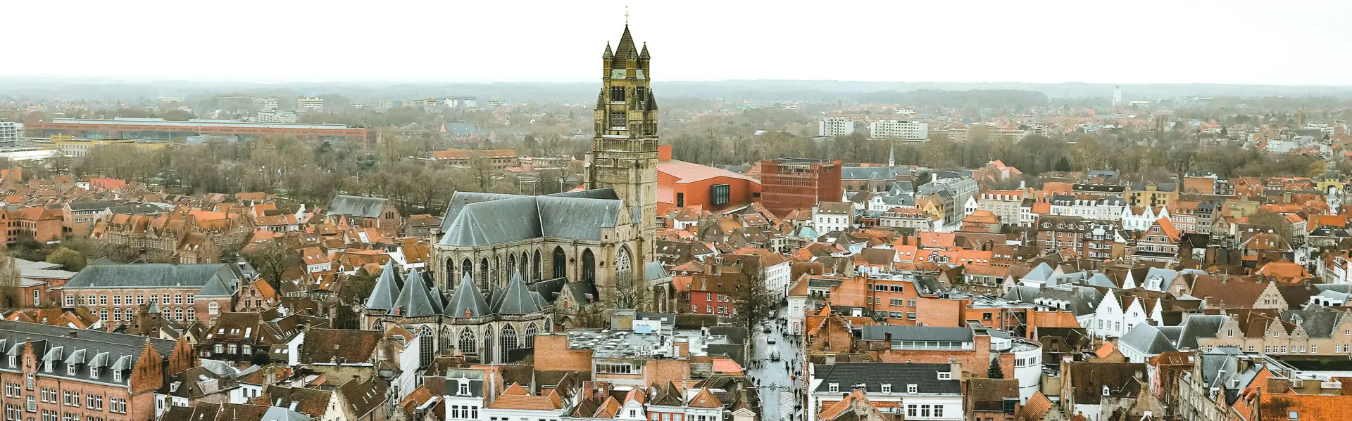 Banner image for Belgium representative of the country