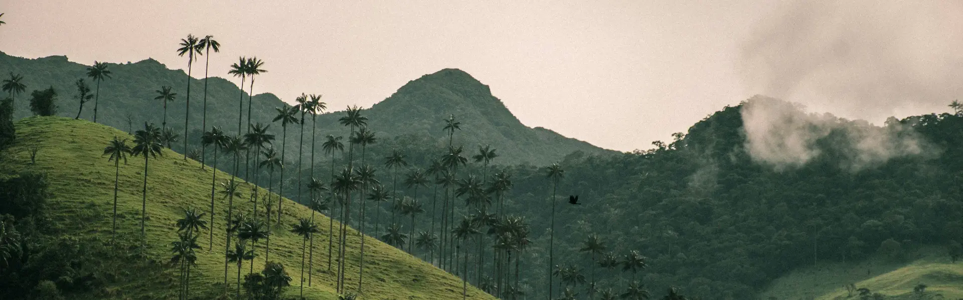 Banner image for Colombia representative of the country