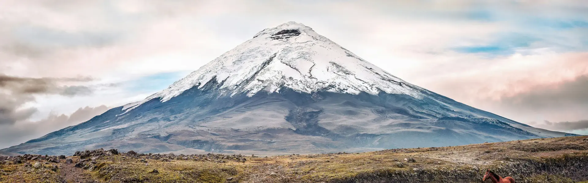 Banner image for Ecuador representative of the country
