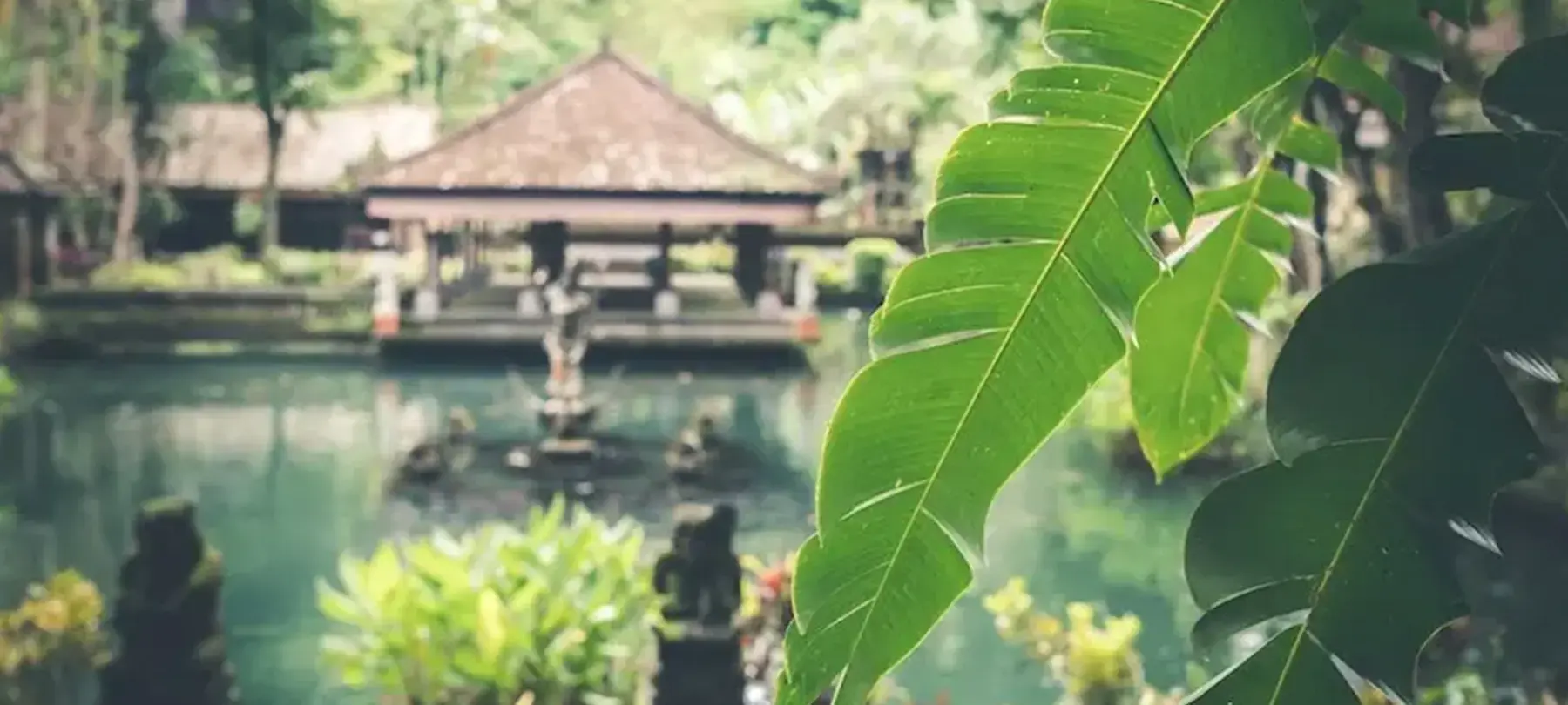 Banner image for Indonesia representative of the country