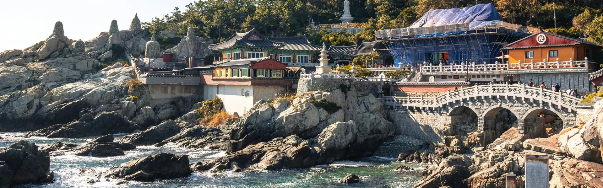 Banner image for South Korea representative of the country