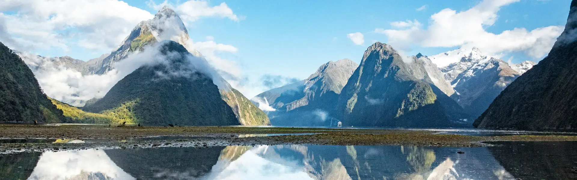 Banner image for New Zealand representative of the country