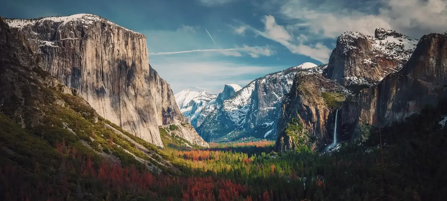 Banner image for United States representative of the country