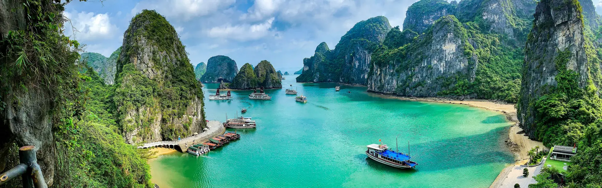 Banner image for Vietnam representative of the country