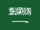 Saudi Arabia's flag
