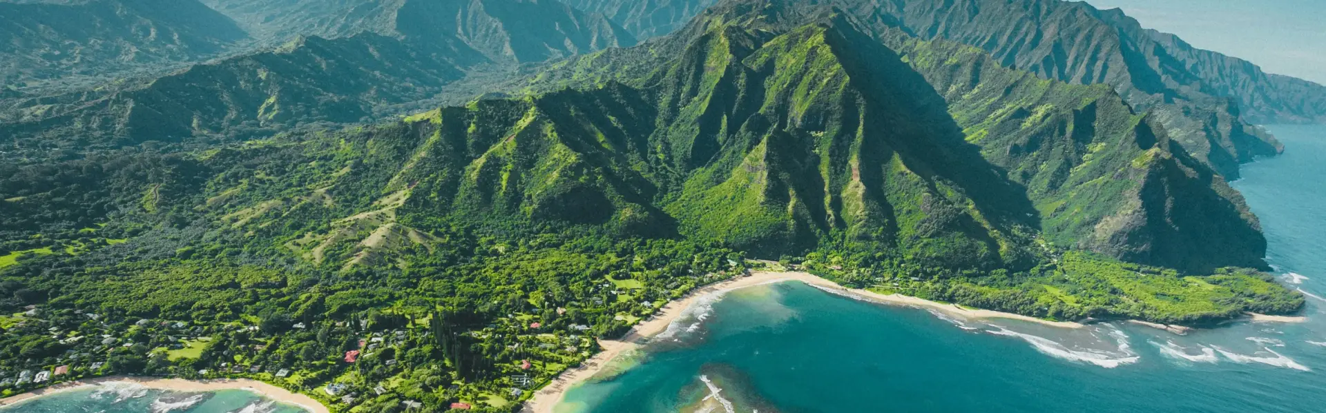 Banner image for Hawaii representative of the region