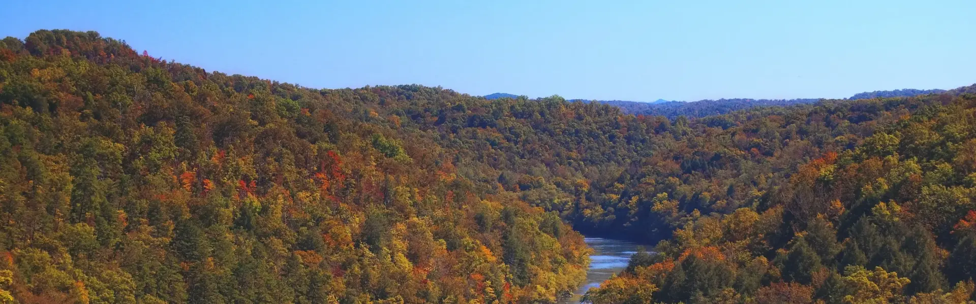 Banner image for Kentucky representative of the region