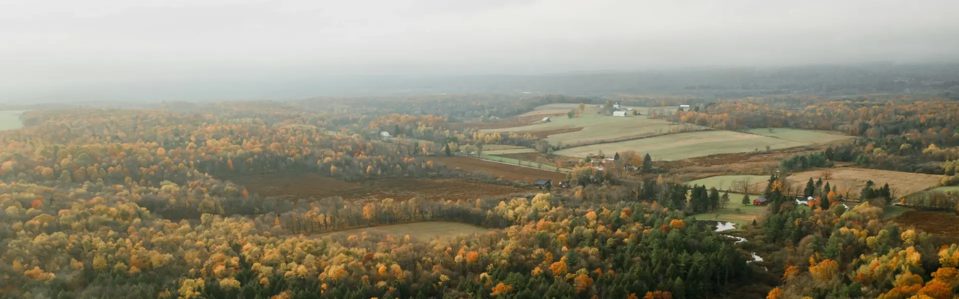 Banner image for Pennsylvania representative of the region