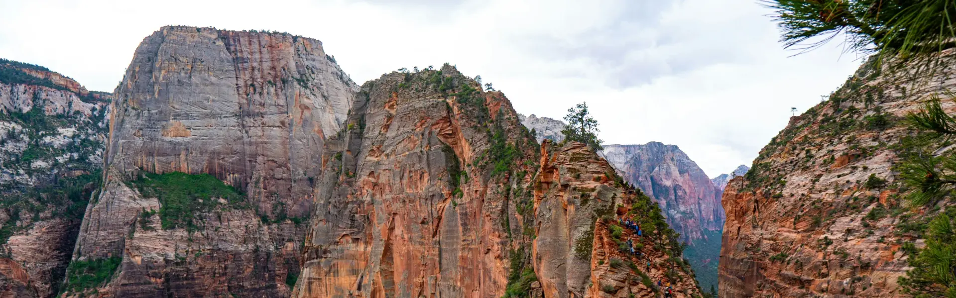 Banner image for Utah representative of the region