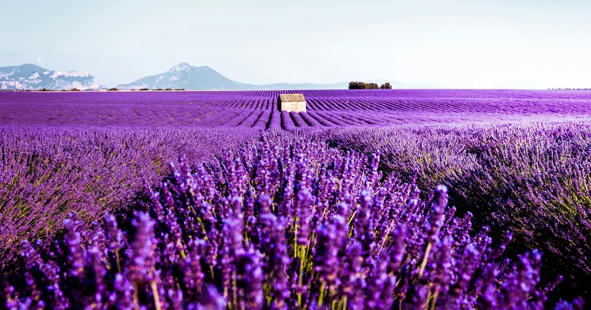 Provence-Alpes-Côte-d’Azur