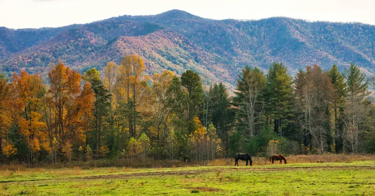 Tennessee