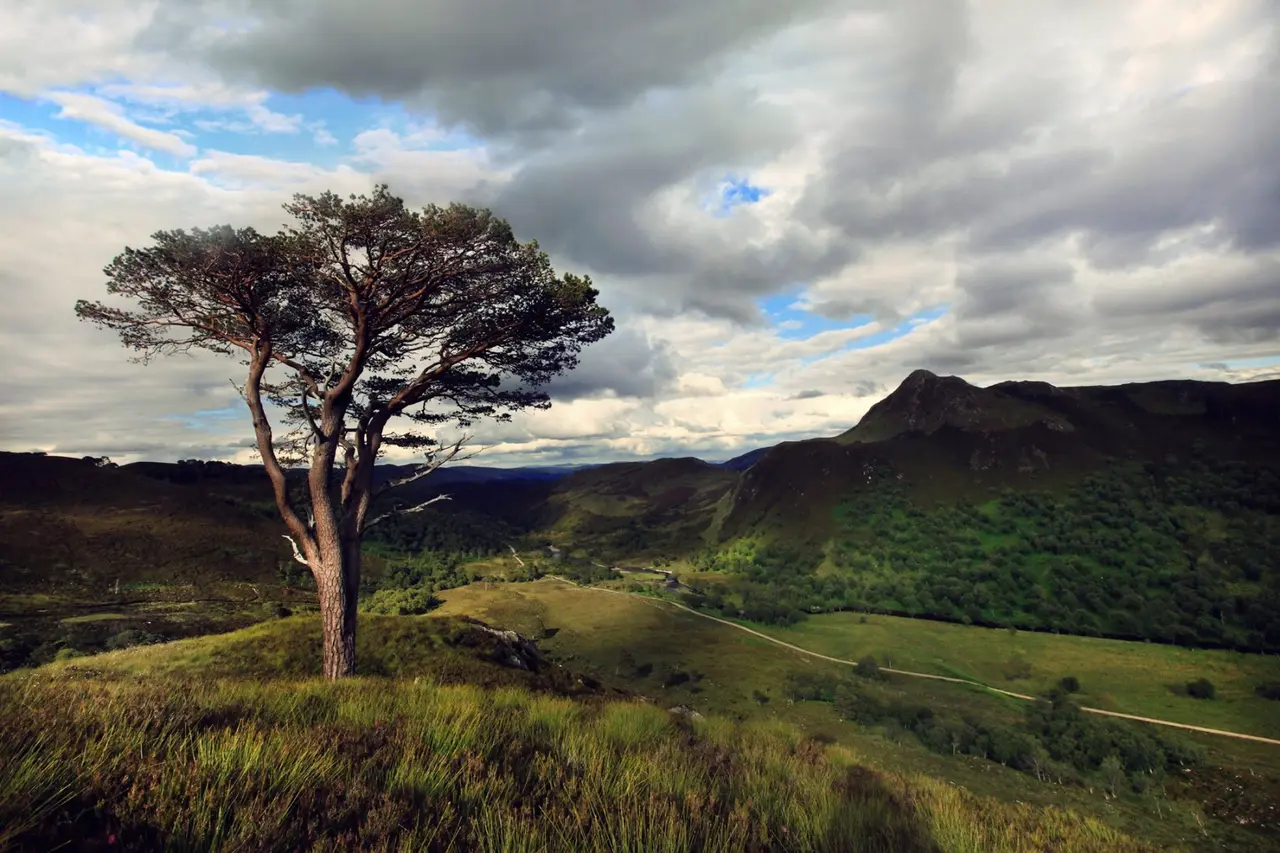 Alladale Wilderness Reserve