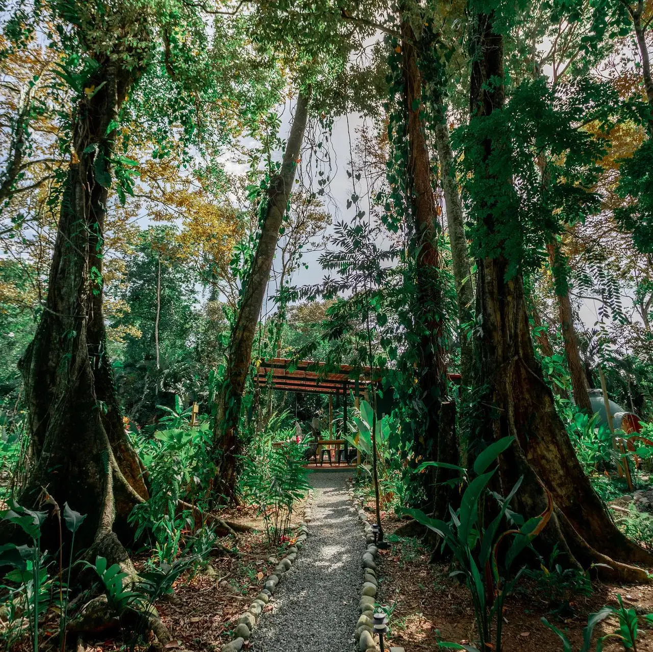 Nowhere in Panama