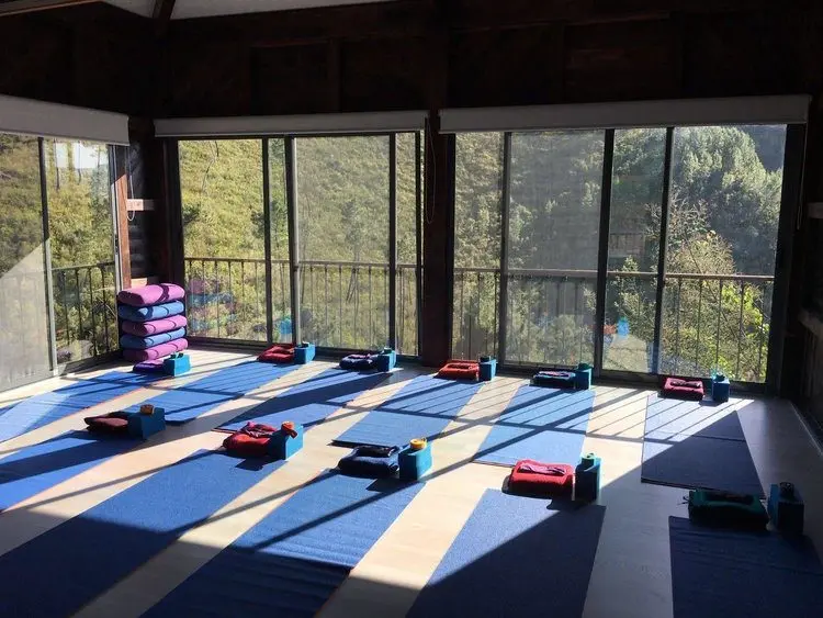 Yoga Shala image 1