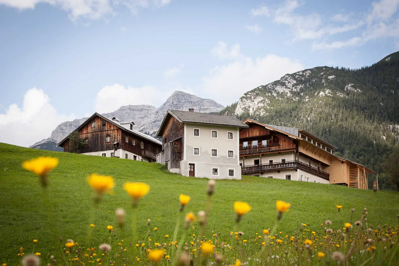 Mesnerhof-C Tirol