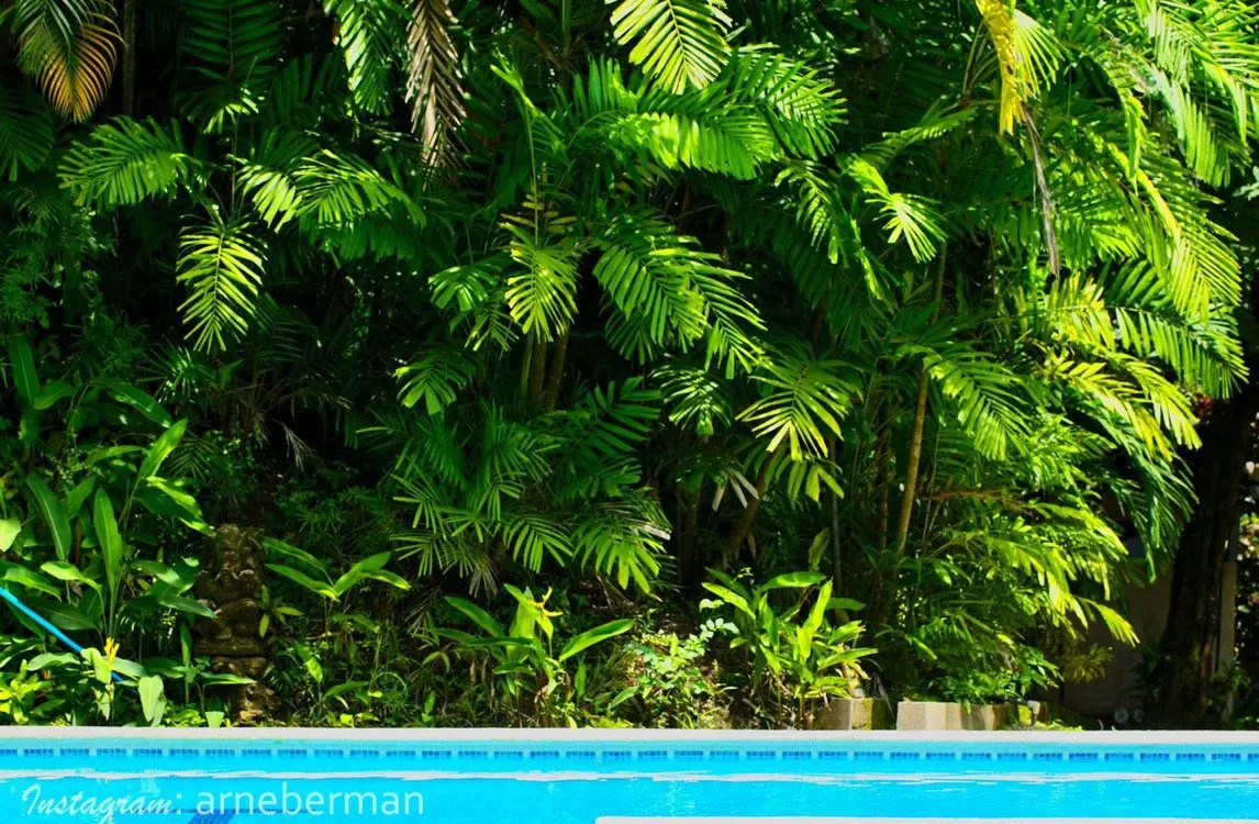 Funky Monkey Lodge