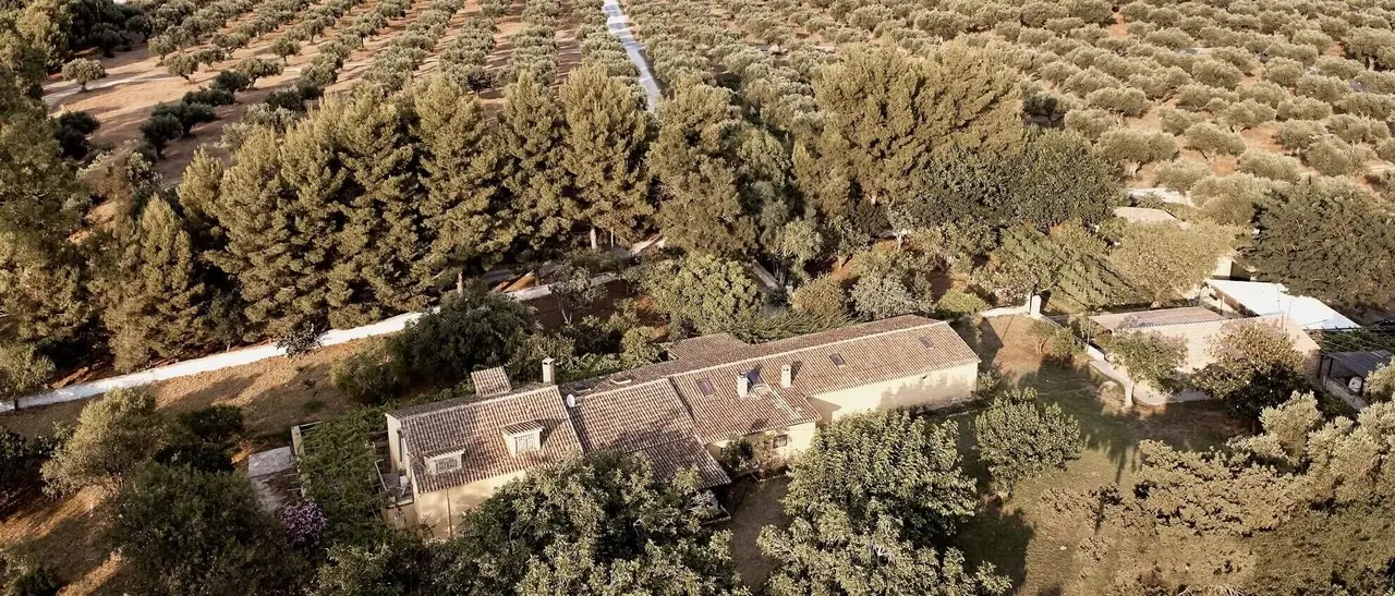 Logothetis Organic Farm