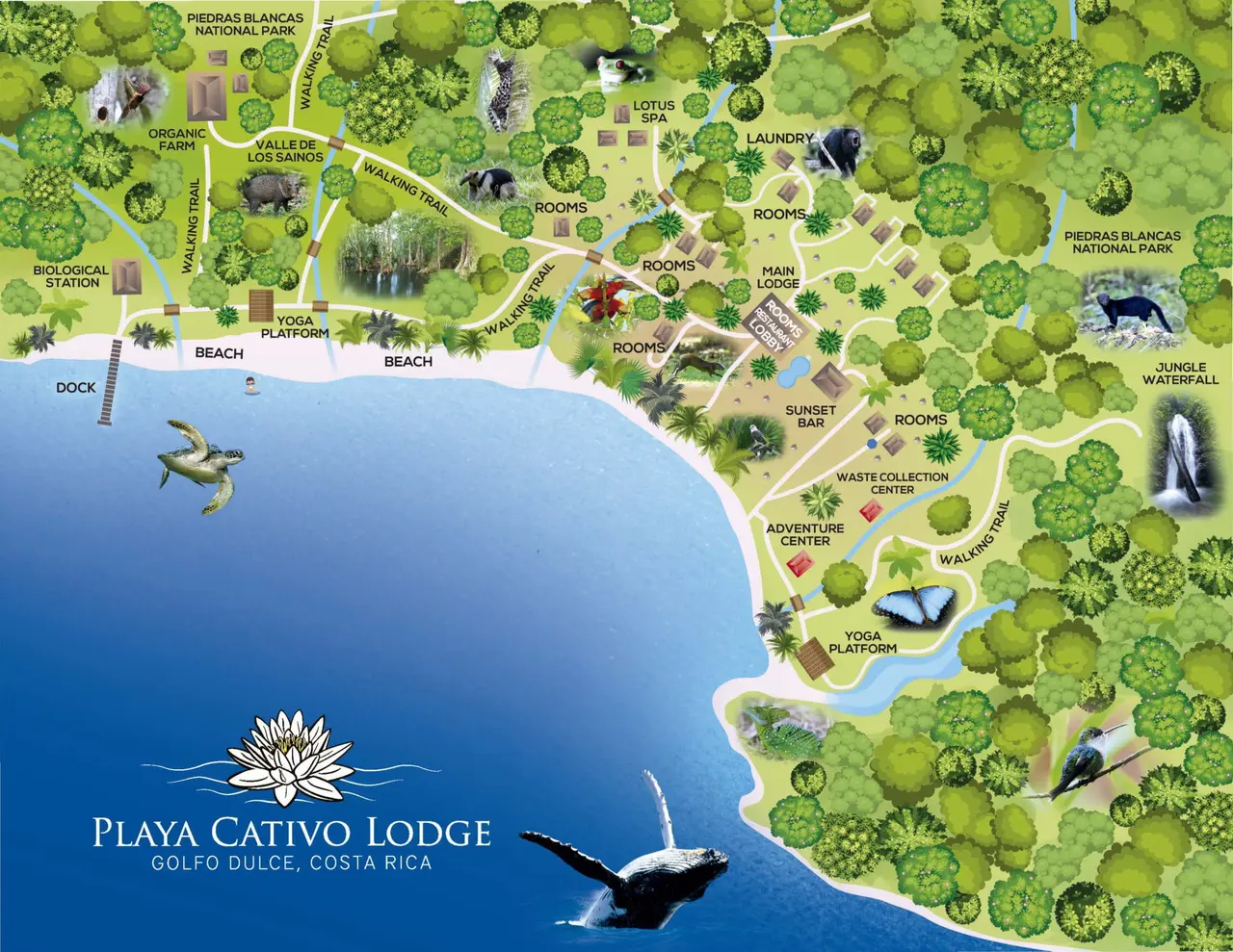Playa Cativo Eco Luxury Lodge