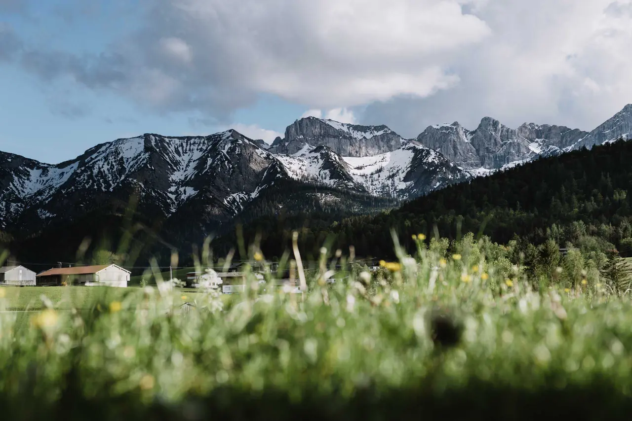 Mesnerhof-C Tirol