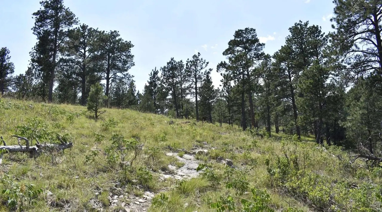 Terra Sancta Retreat Center