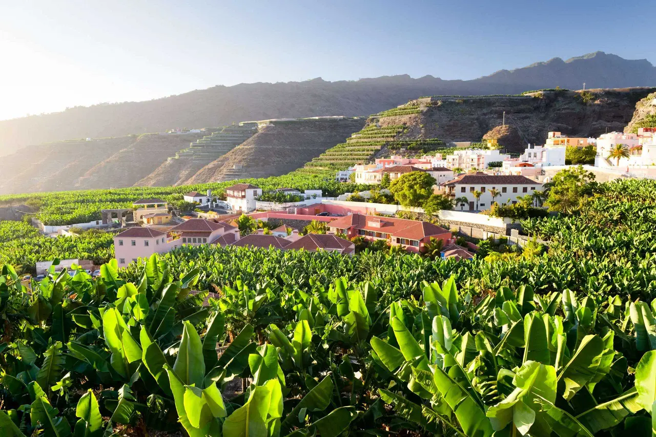 Hotel Hacienda de Abajo
