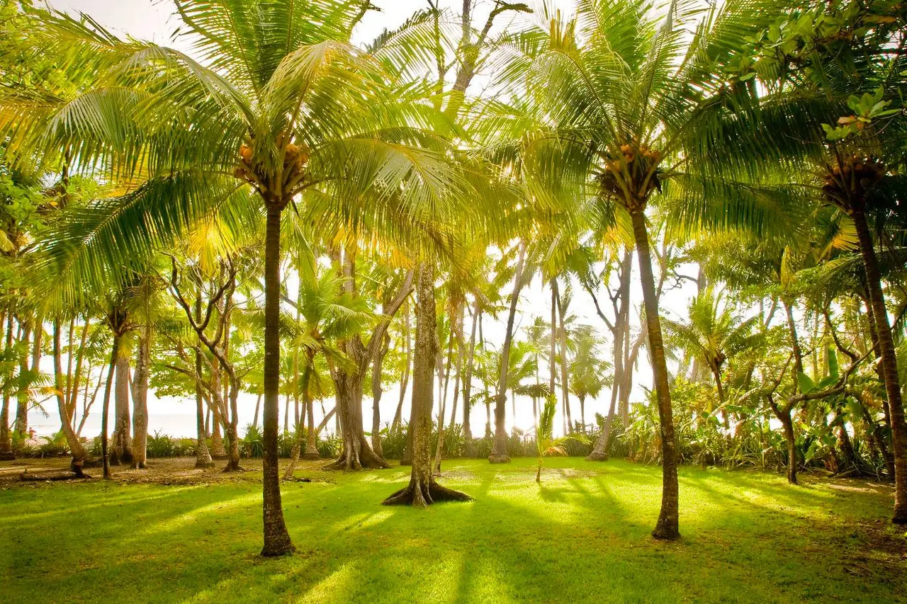 Santa Teresa Beachfront