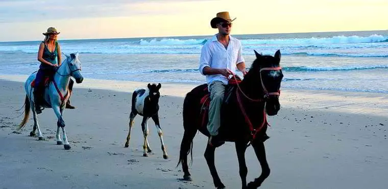 Santa Teresa Beachfront