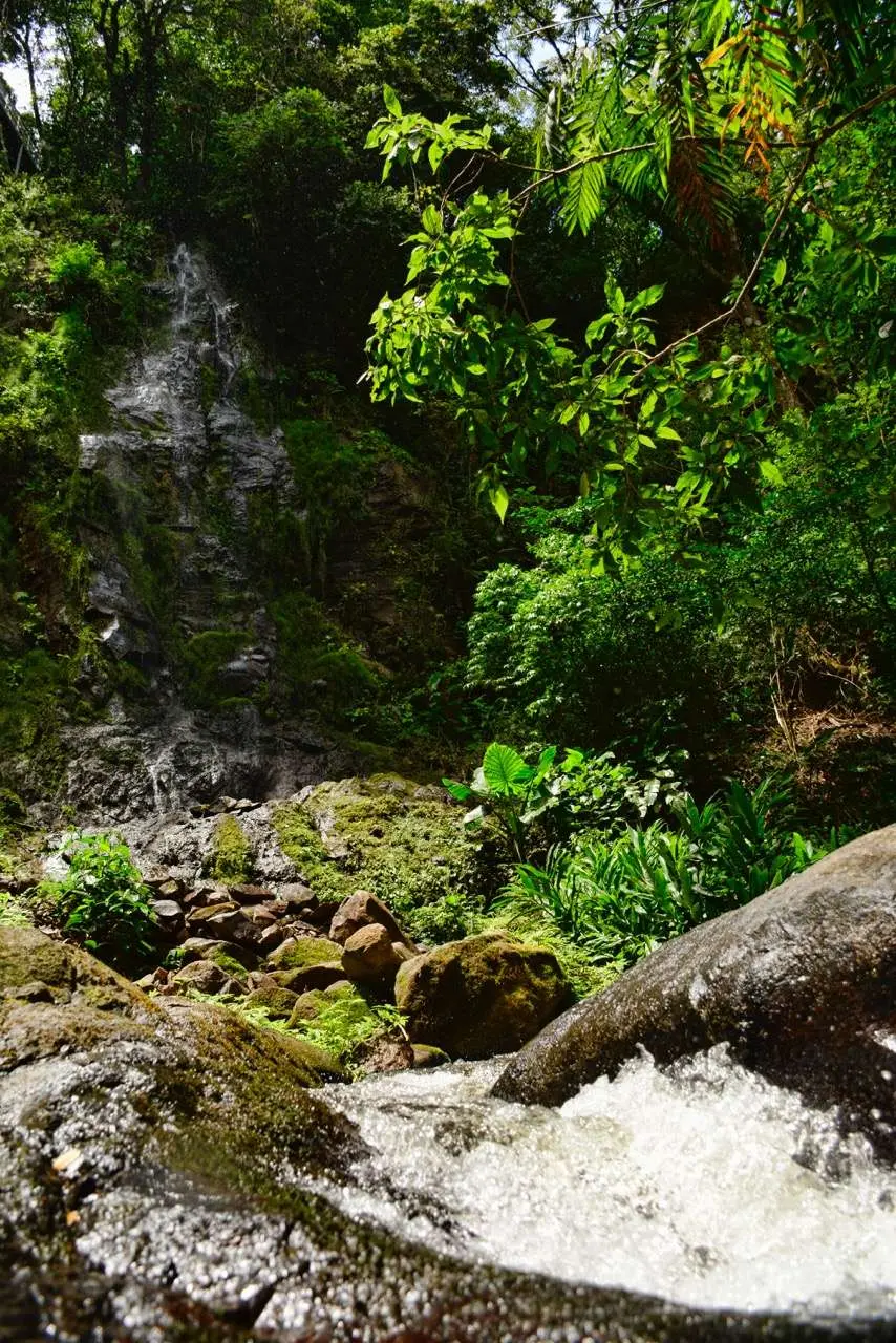 Monteverde Inn