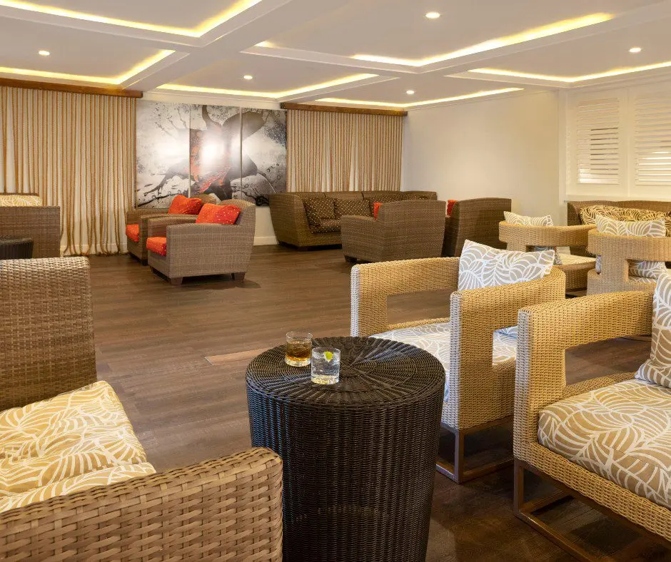 The Jacaranda image 4