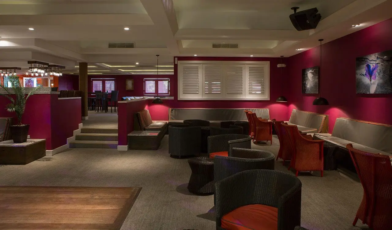 The Jacaranda image 2