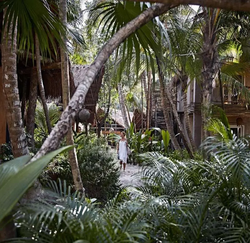 Nomade Tulum
