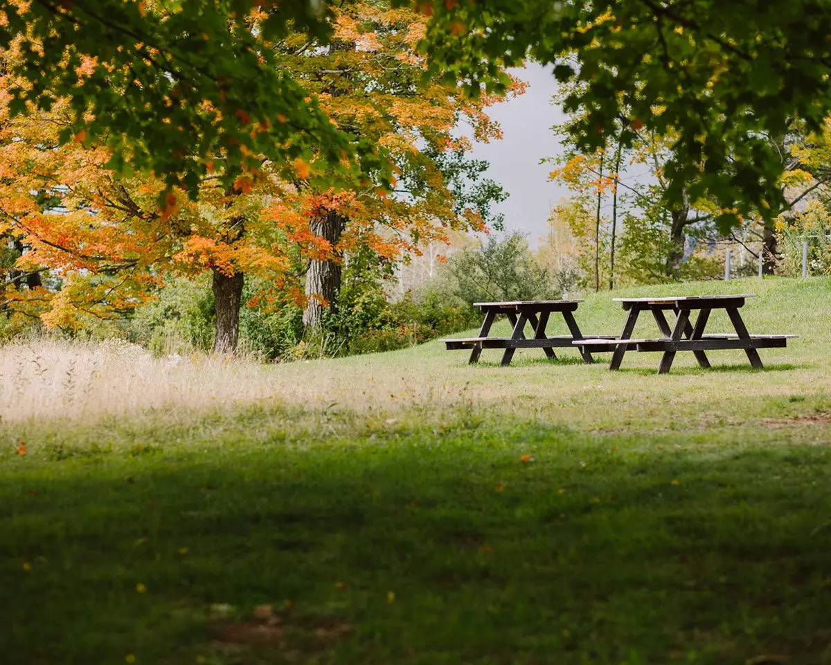 Scribner's Catskill Lodge