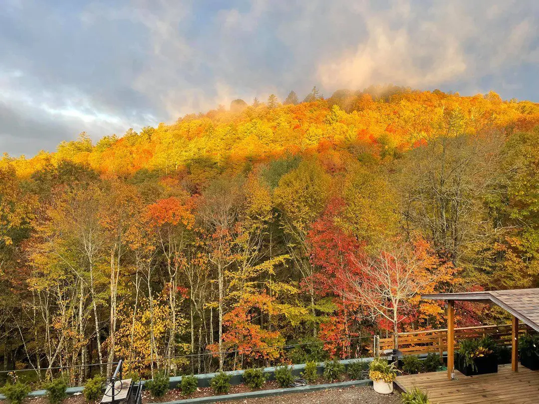Skyline Lodge