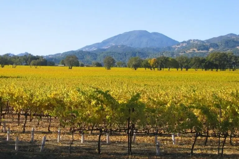 Hilton Garden Inn Napa