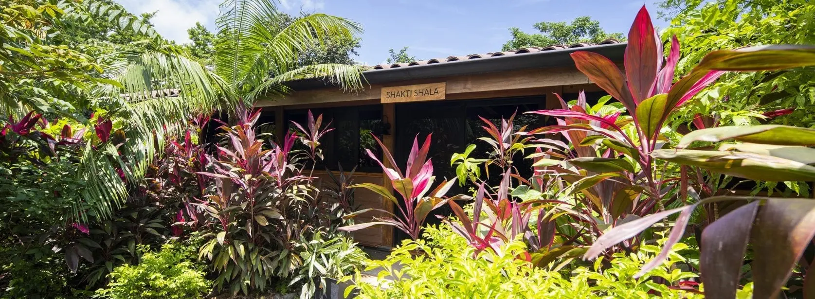 Shakti Shala image 1