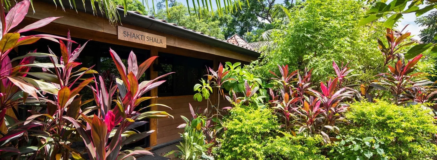 Shakti Shala image 2