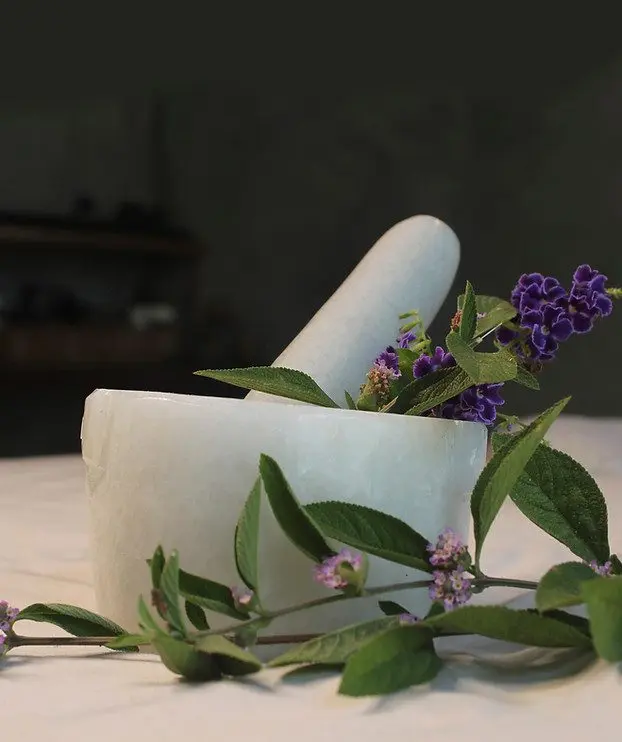 Breathe Healing and Wellness Spa Retreat