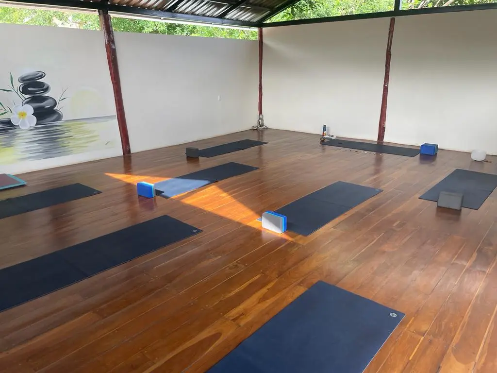 Yoga Shala image 2