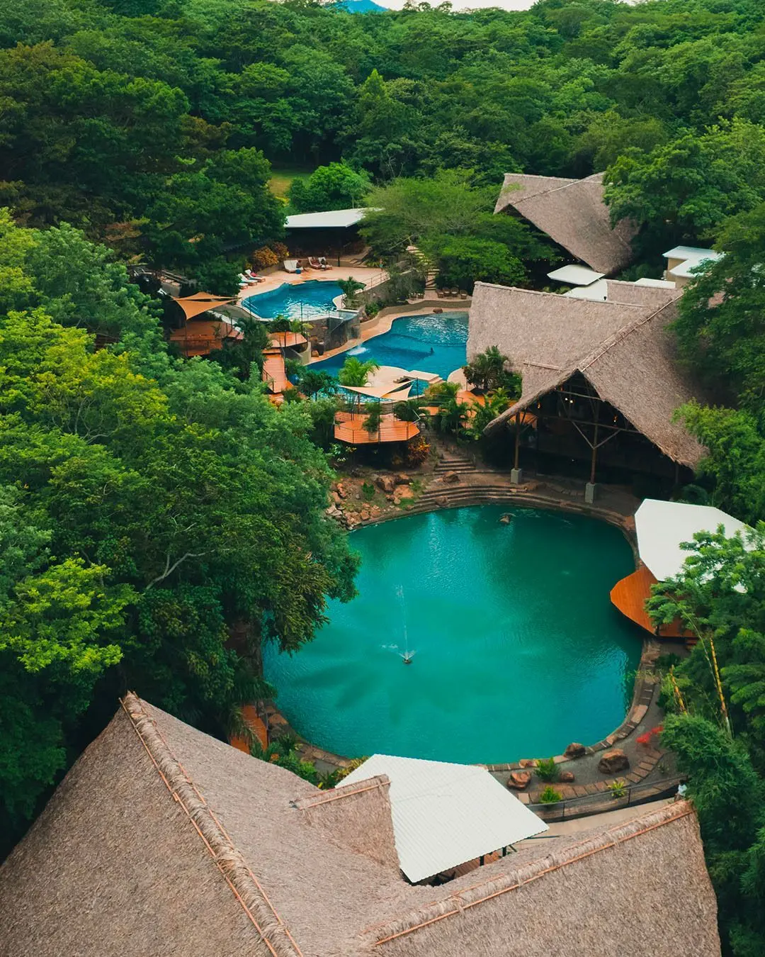 TreeCasa Hotel & Resort