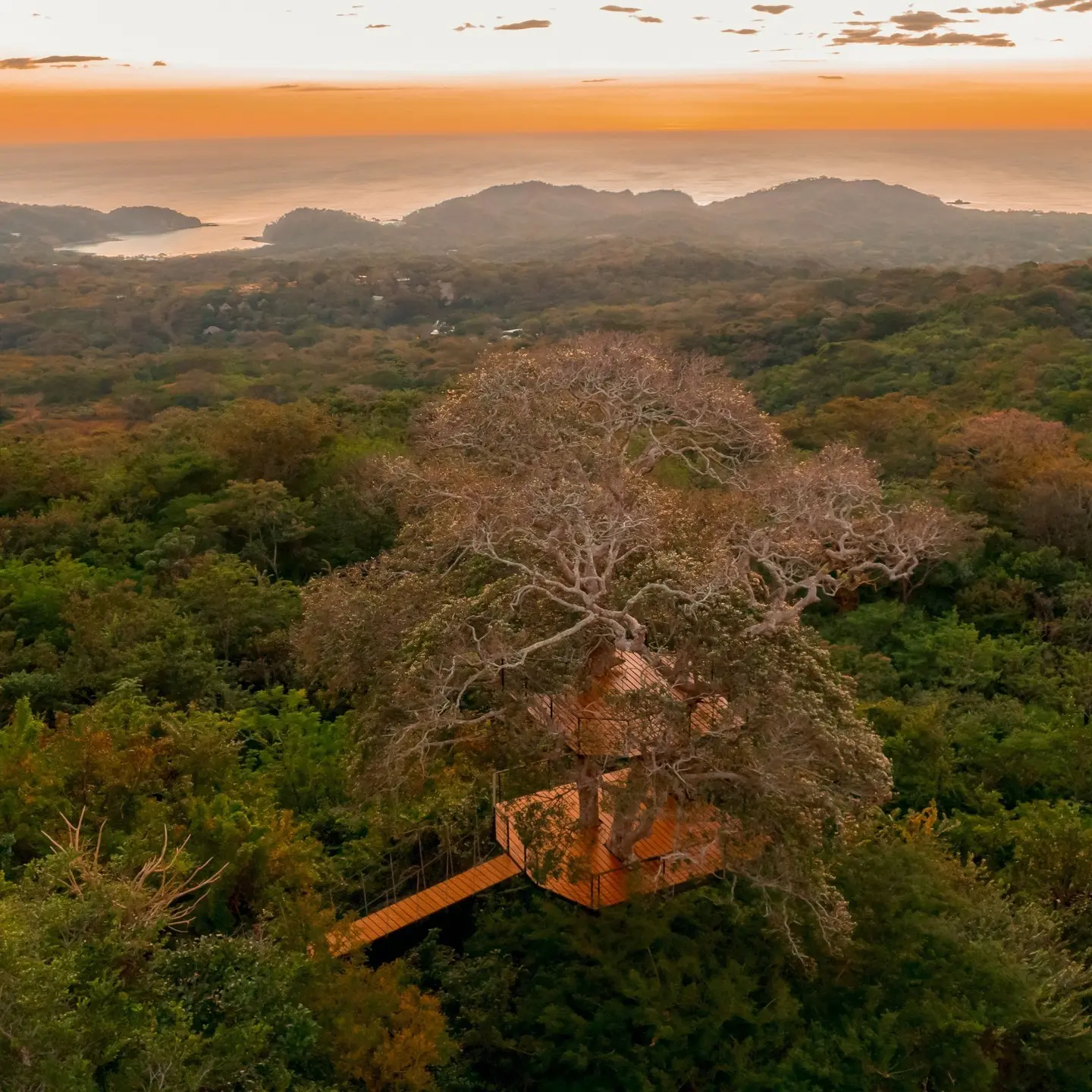 Platform of the Ceiba image 2