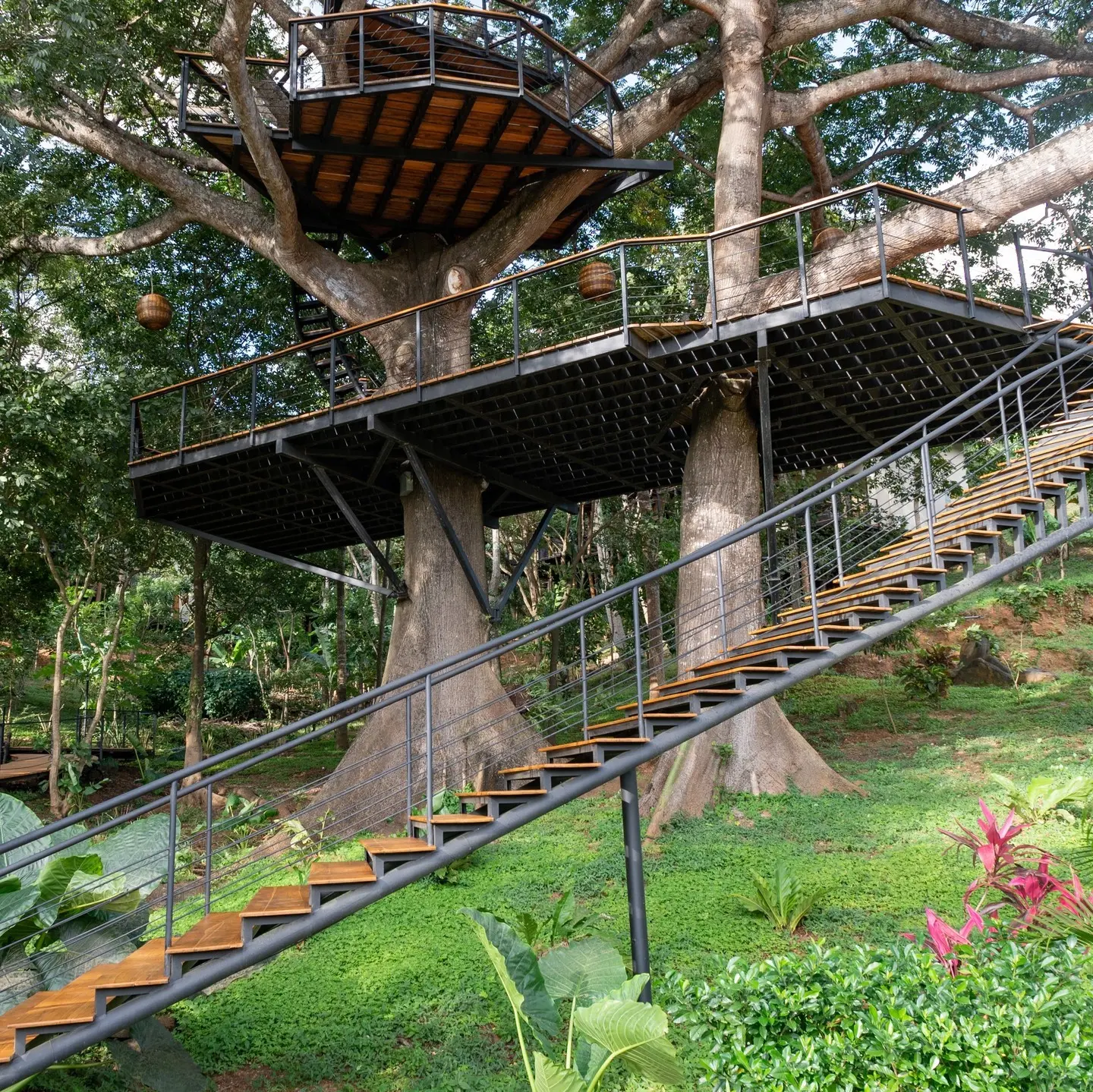 Platform of the Ceiba image 5