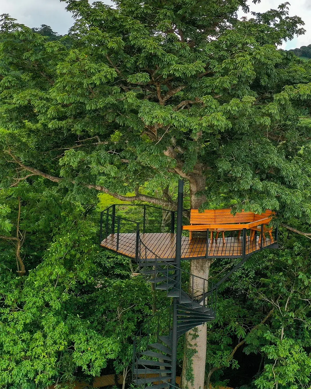 Platform of the Ceiba image 4