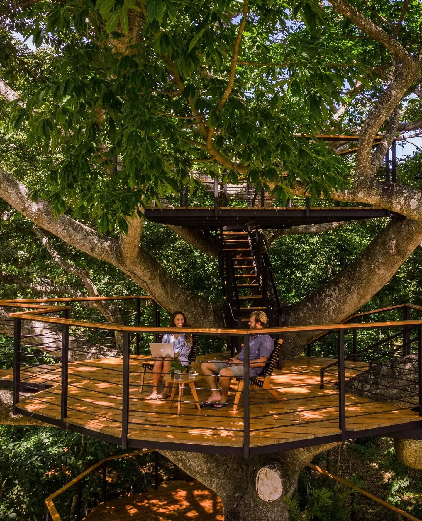 Platform of the Ceiba image 1